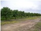 Biboohra QLD 4880