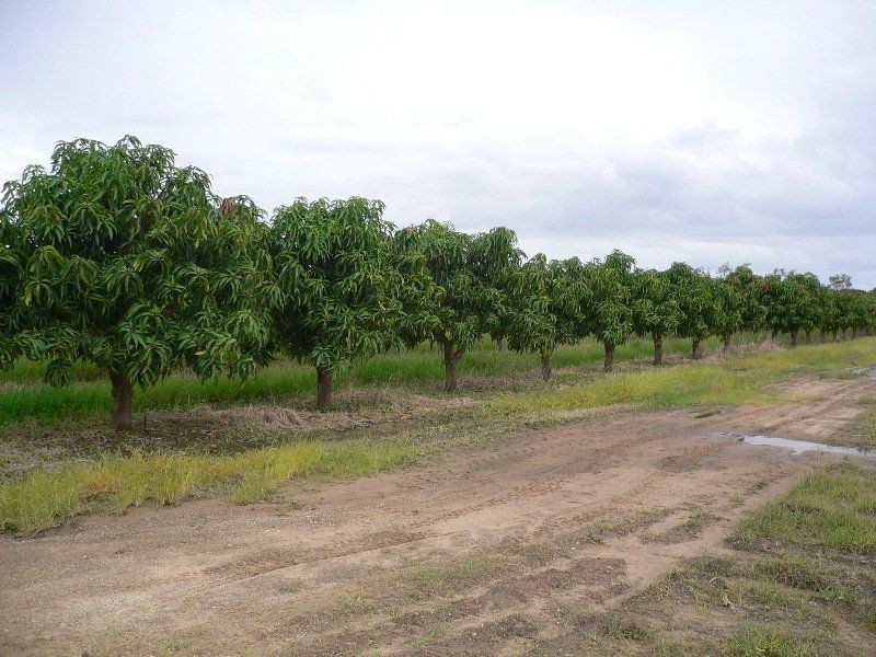 Biboohra QLD 4880