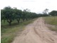 Biboohra QLD 4880