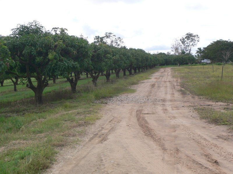 Biboohra QLD 4880
