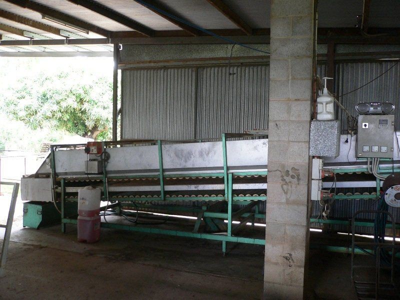 Biboohra QLD 4880