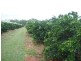 Mareeba QLD 4880