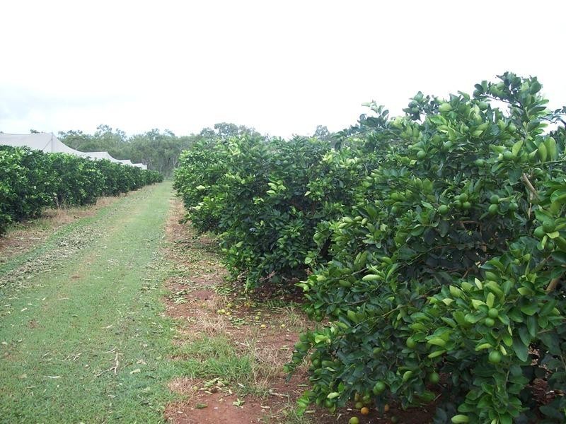 Mareeba QLD 4880