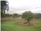 Mareeba QLD 4880