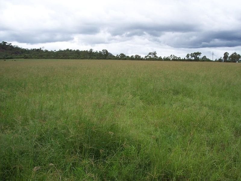 Dimbulah QLD 4872
