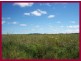 Dimbulah QLD 4872