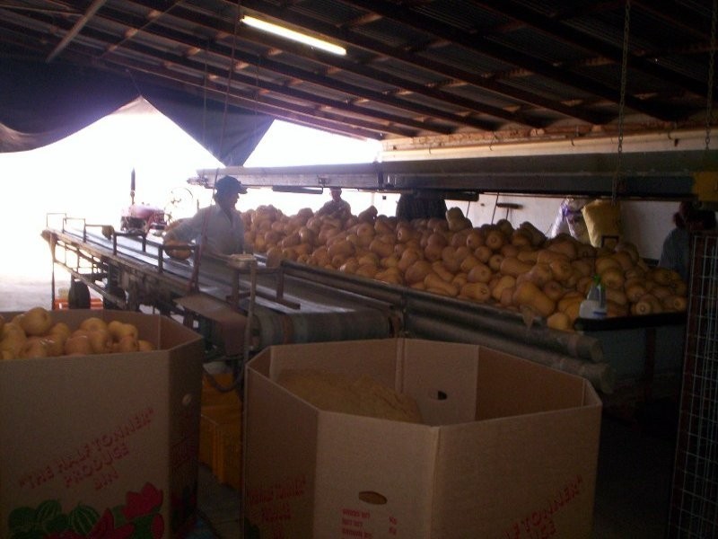Dimbulah QLD 4872