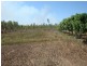 Arriga QLD 4880