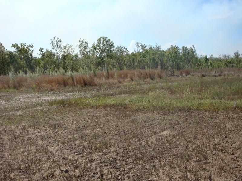 Arriga QLD 4880