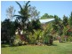Arriga QLD 4880