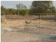 Biboohra QLD 4880