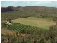 Koah QLD 4881
