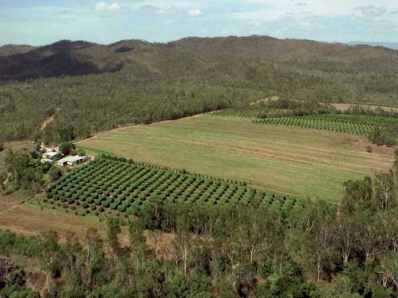Koah QLD 4881