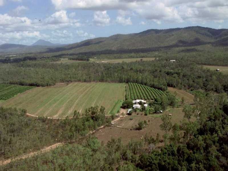 Koah QLD 4881
