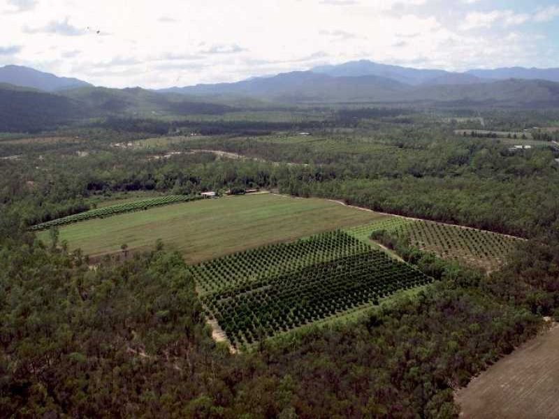Koah QLD 4881