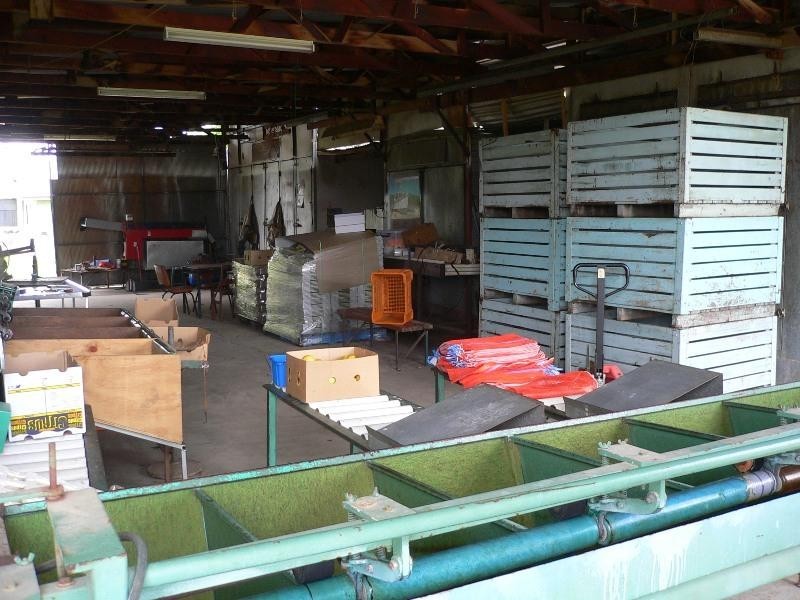 Koah QLD 4881