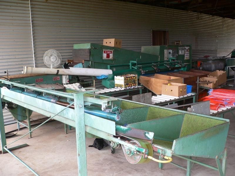 Koah QLD 4881