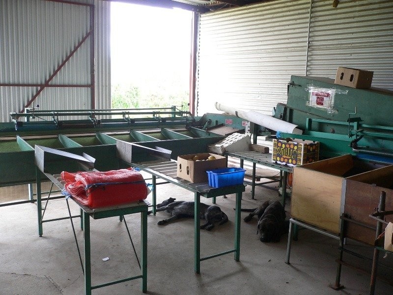 Koah QLD 4881