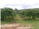 Koah QLD 4881