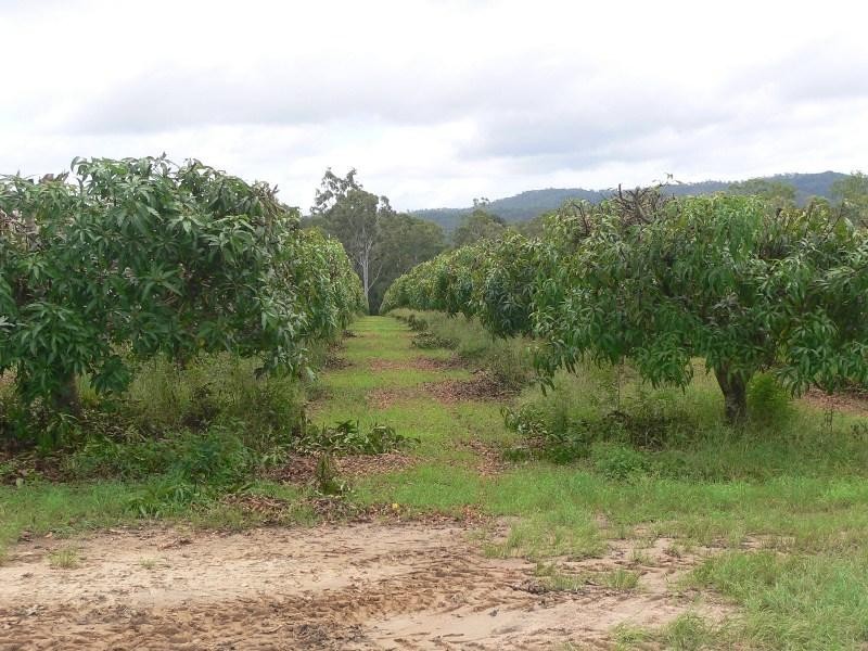 Koah QLD 4881