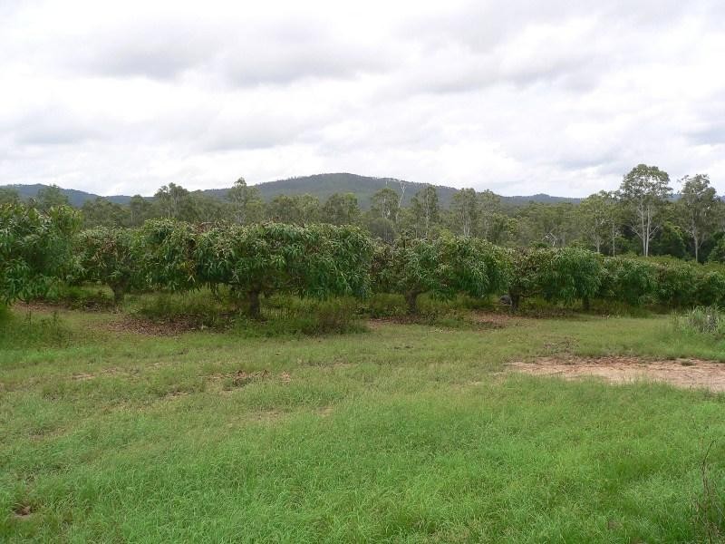 Koah QLD 4881