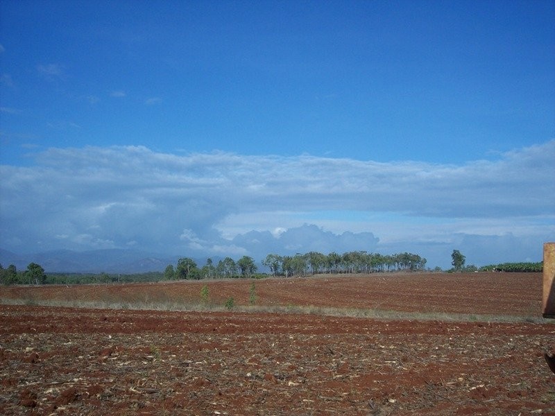 Tolga QLD 4882