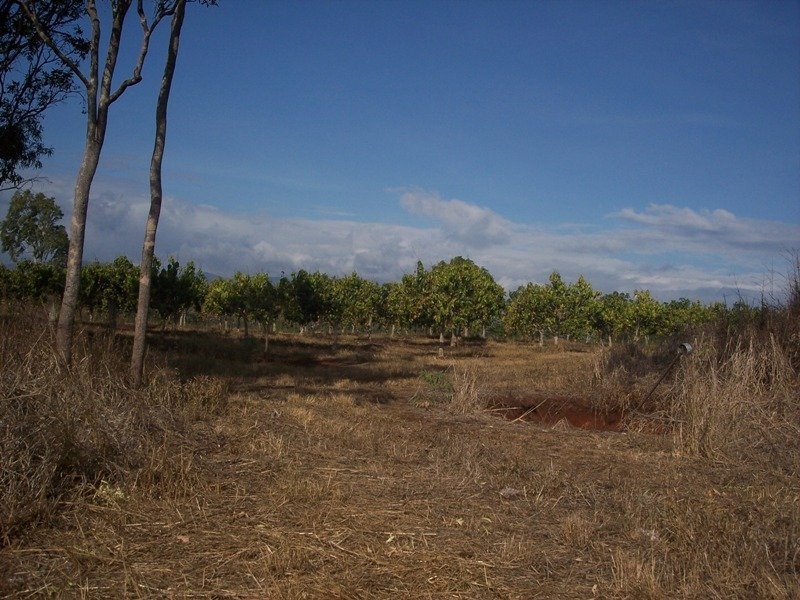 Tolga QLD 4882