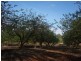 Tolga QLD 4882