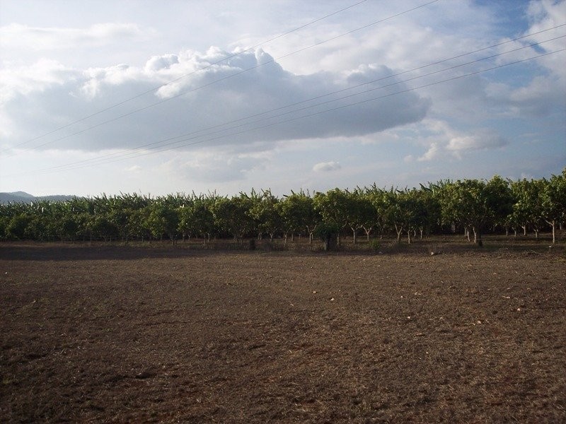 Tolga QLD 4882