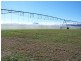 Mareeba QLD 4880
