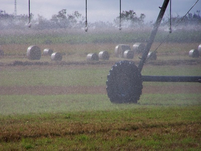 Mareeba QLD 4880