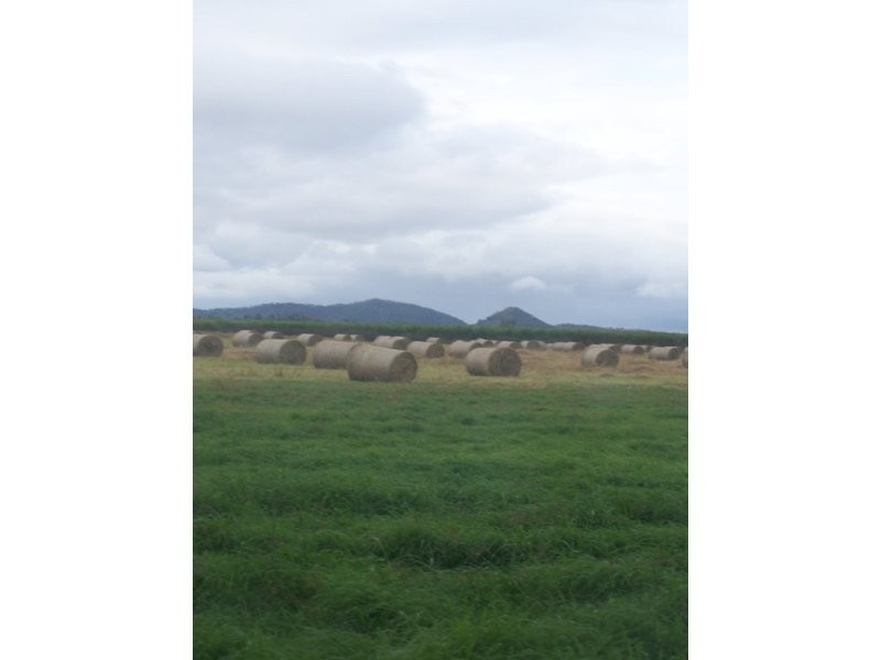 Mareeba QLD 4880