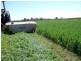 Mareeba QLD 4880