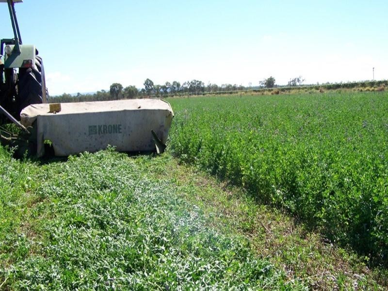 Mareeba QLD 4880