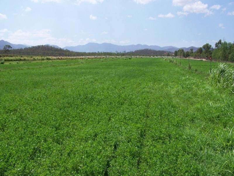 Mareeba QLD 4880