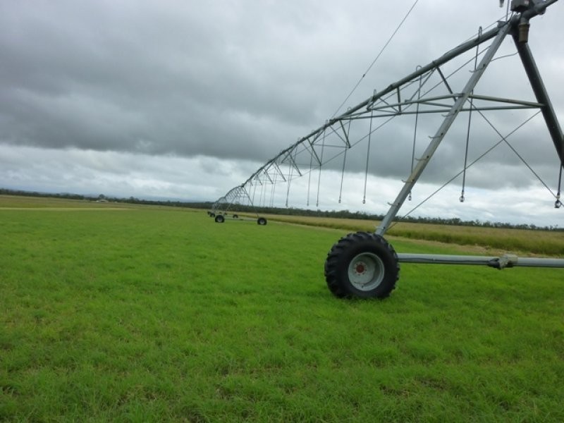 Mareeba QLD 4880
