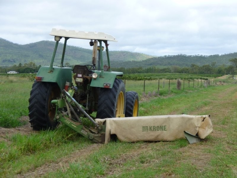 Mareeba QLD 4880