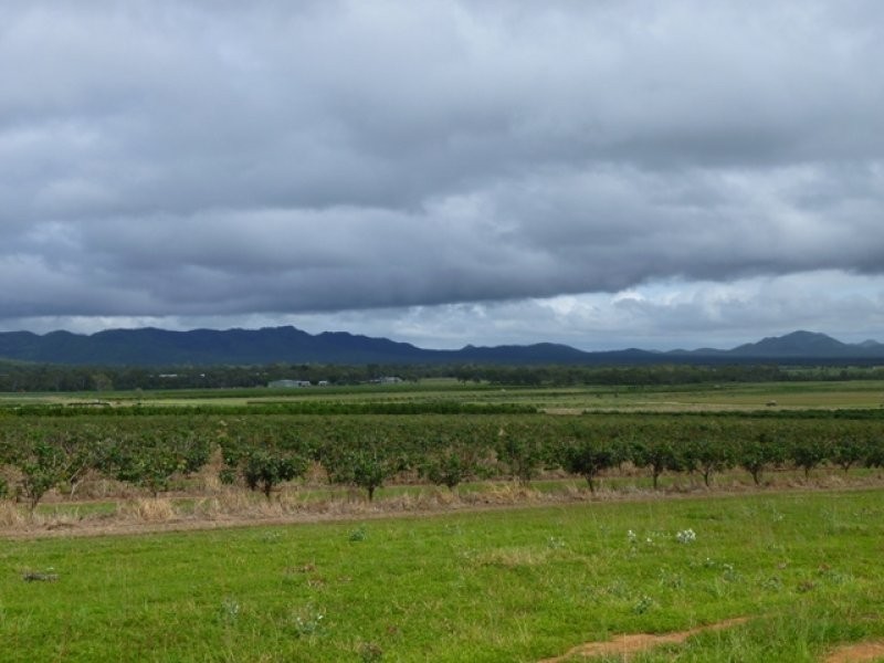 Mareeba QLD 4880