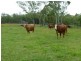 Mareeba QLD 4880