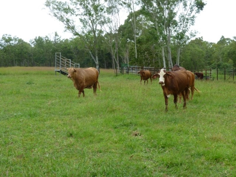 Mareeba QLD 4880