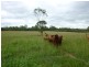 Mareeba QLD 4880