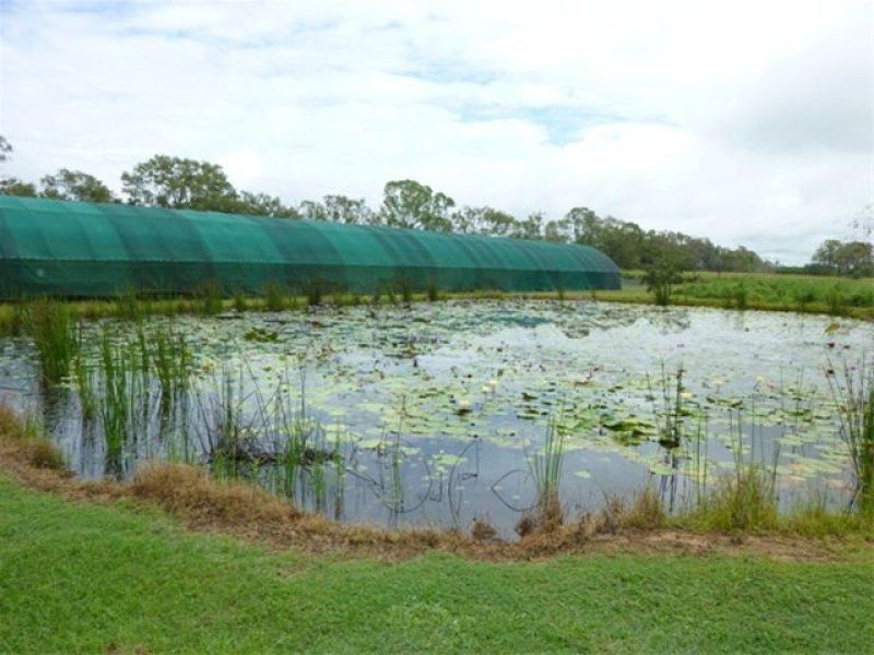 Mutchilba QLD 4872