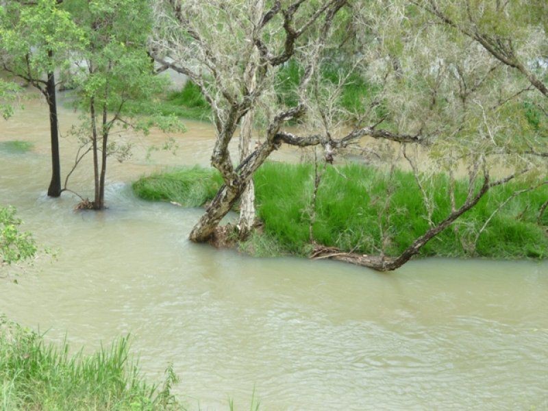 Mutchilba QLD 4872