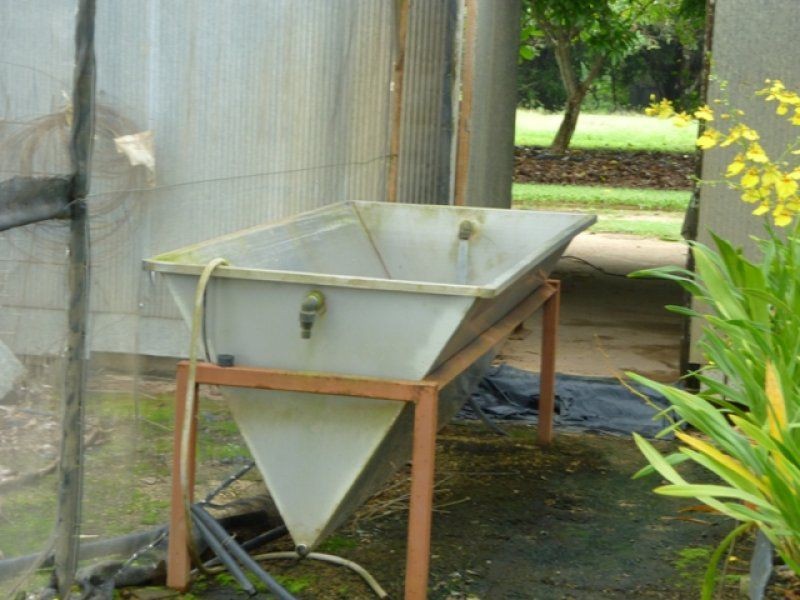 Mutchilba QLD 4872