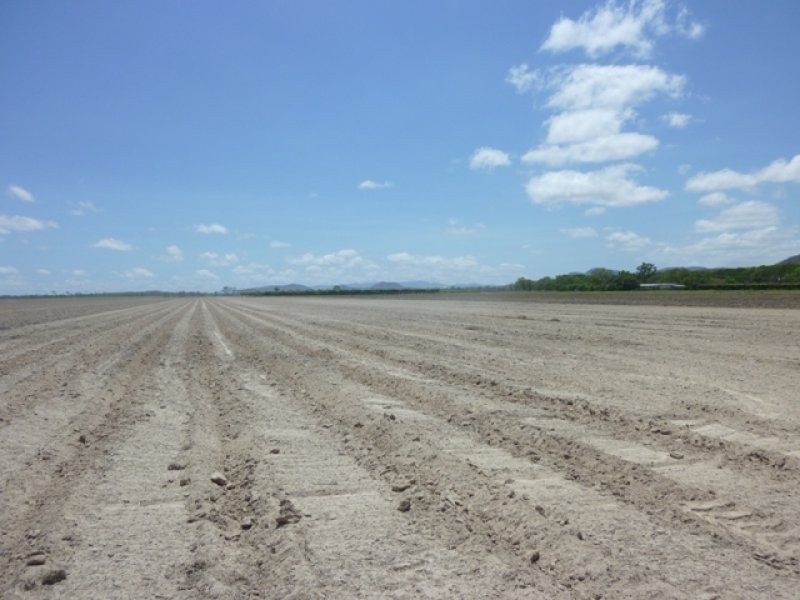 Mareeba QLD 4880