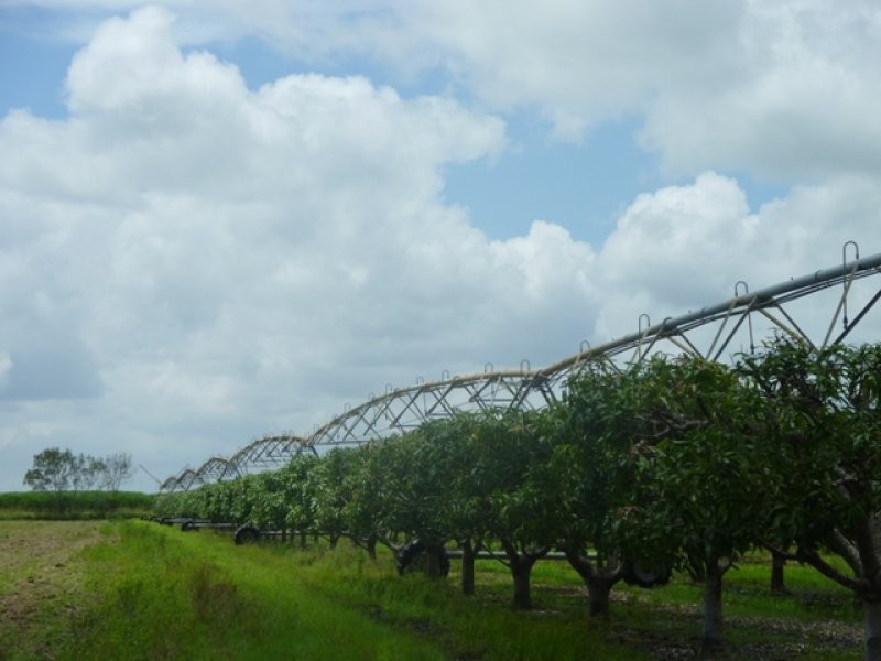 Mareeba QLD 4880