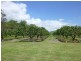 Mareeba QLD 4880