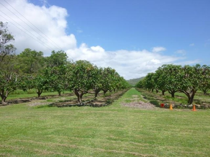 Mareeba QLD 4880