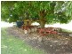 Mareeba QLD 4880