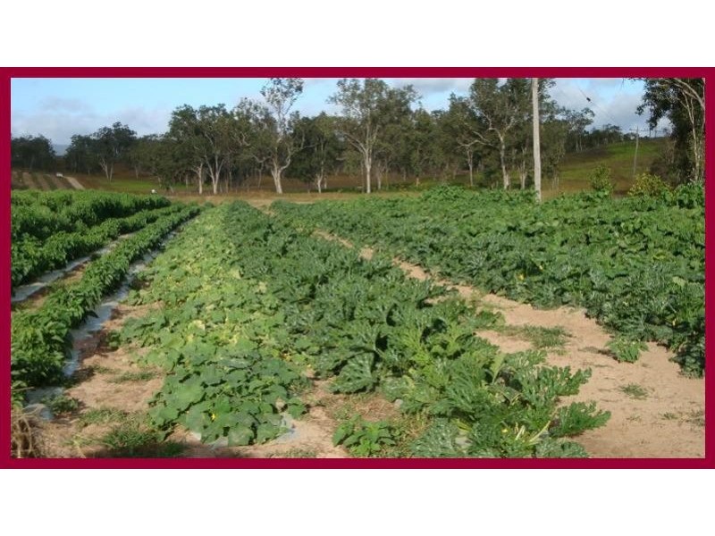 Mareeba QLD 4880